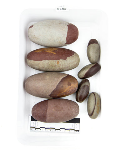 Shiva Lingam Stones - 8 pcs (#226186)