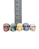 Assorted Skulls (2 inch)