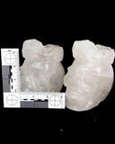 Clear Quartz Skull w/ Crown Carvings - 2 pcs (#225607)