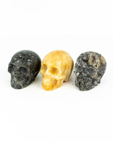 Assorted Medium Skull Carvings - 3 pcs (#225611)