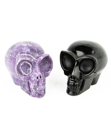 Assorted Large Skull Carvings - 2 pcs (#225613)