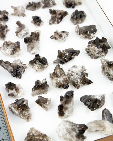 Smoky Quartz Cluster  - 32 pcs (#225786)