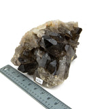 Smoky Quartz Cluster - 9.56 lb (#226233)