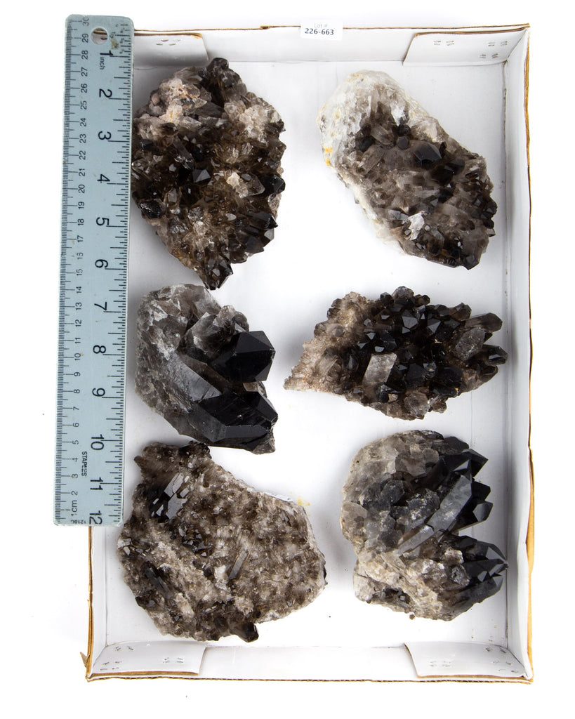 Smoky Quartz Clusters - 6 pcs (#226663)