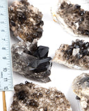 Smoky Quartz Clusters - 6 pcs (#226663)