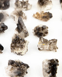 Smoky Quartz Clusters Flat - 24 pcs (#255860)