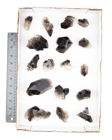 Smoky Quartz Clusters/Points - 16 pcs (#226300)
