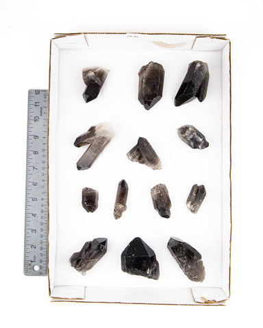 Smoky Quartz Clusters/Points - 13 pcs (#226301)