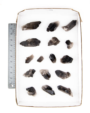 Smoky Quartz Clusters/Points - 16 pcs (#226302)
