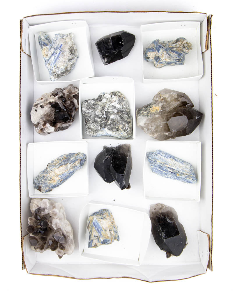 Smoky Quartz and Kyanite Specimens - 12 pcs (#226192)