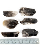 Smoky Quartz Points - 5 pcs / 4.9 lb (#225583)