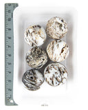 Sphalerite Druzy Spheres - 6 pcs (#226113)