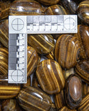 Tiger's Eye (Gold) Palm Stones [India]