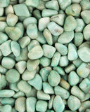 Tumbled Amazonite (Brazil)