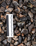 Tumbled Black Moonstone