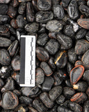 Tumbled Black Tourmaline
