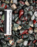 Tumbled Bloodstone