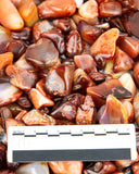 Tumbled Carnelian (Madagascar)