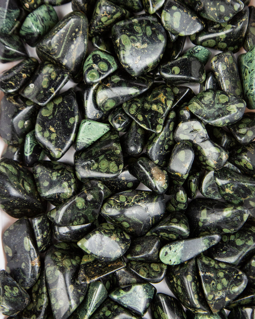 Tumbled Kambaba Jasper