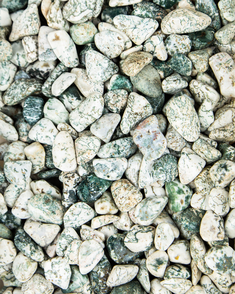 Tumbled Tree Agate