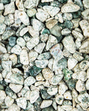 Tumbled Tree Agate