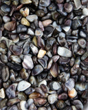 Tumbled Botswana Agate