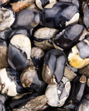 Volcano Agate Palm Stones