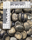 Pyrite Worry Stone