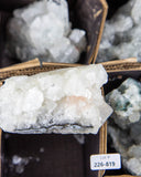 Zeolite & Apophyllite - 12 pcs (#226819)