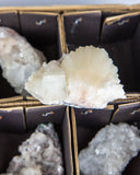 Zeolite & Apophyllite - 12 pcs (#226821)
