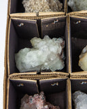 Zeolite & Apophyllite - 12 pcs (#226822)