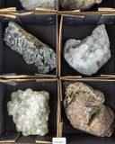 Zeolite & Apophyllite - 6 pcs (#226823)
