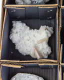 Zeolite & Apophyllite - 6 pcs (#226824)