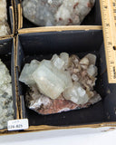 Zeolite & Apophyllite - 6 pcs (#226825)