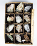 Zeolite & Apophyllite - 12 pcs (#226820)