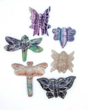 Assorted Bug Carvings (Medium)
