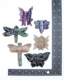 Assorted Bug Carvings (Medium)