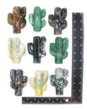 Cactus Carving (Assorted)