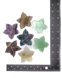 Starfish Carving (Fluorite)