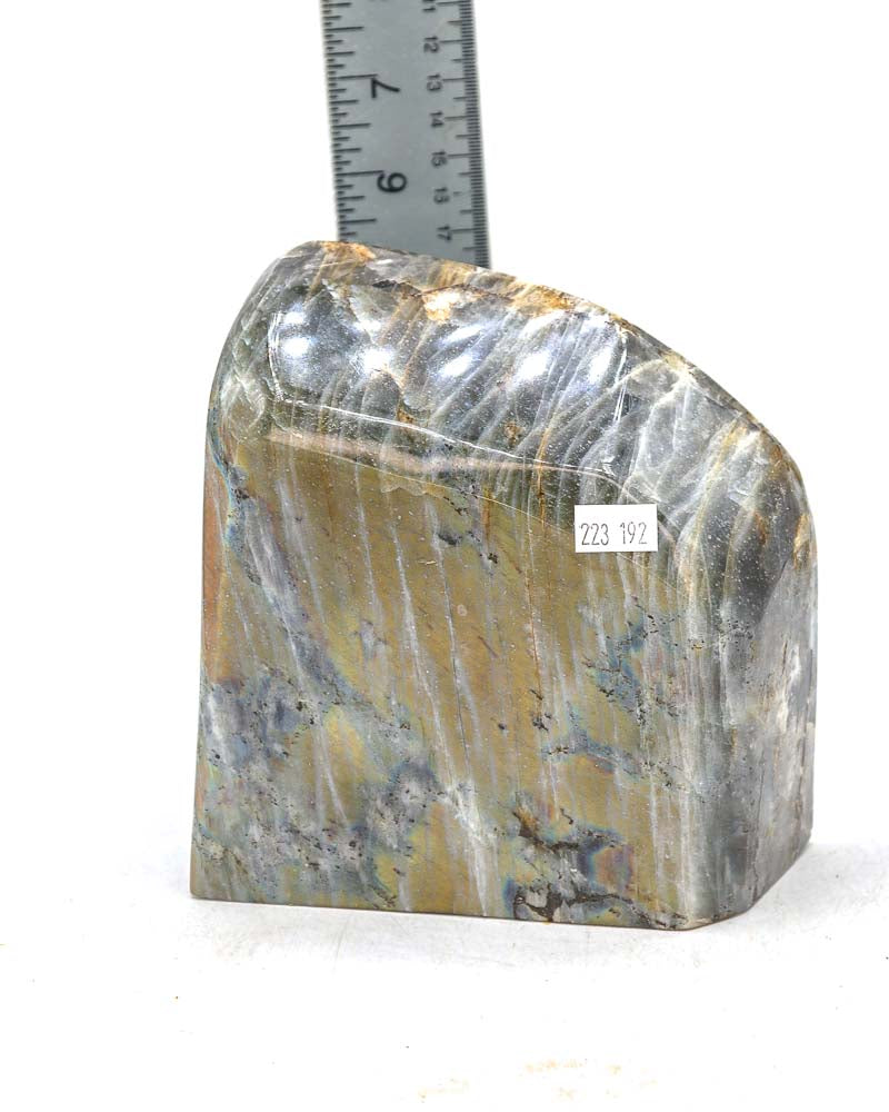 Labradorite Free Form - 1 pcs / 7.03 lb (#223192)