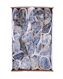 Blue Kyanite Flat