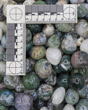 Tumbled Moss Agate [per piece]
