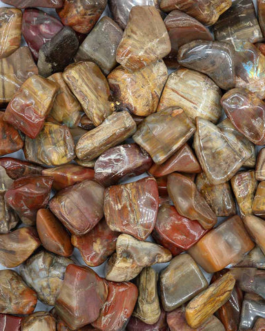 Tumbled Petrified Wood