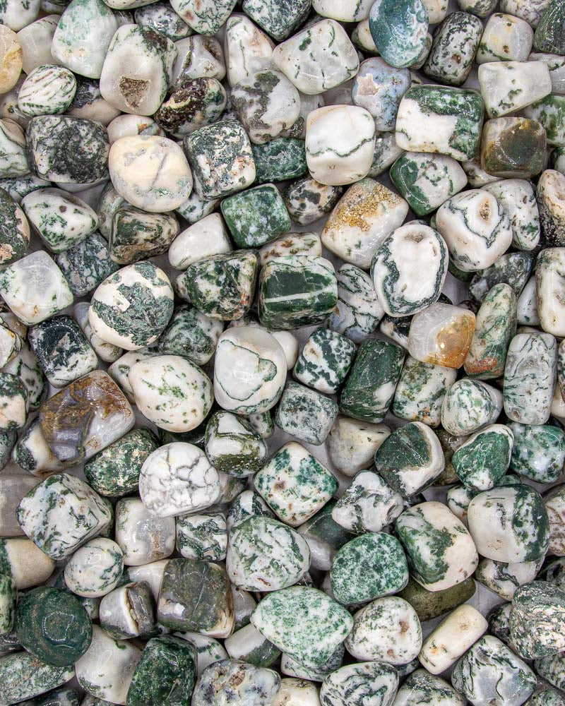 Tumbled Tree Agate