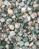 Tumbled Tree Agate