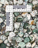 Tumbled Tree Agate