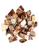 Tumbled Petrified Wood